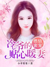 暖婚燃情萌宝神助攻免费