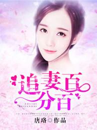 追妻千百万知手