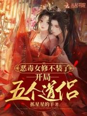 开局五个道侣的