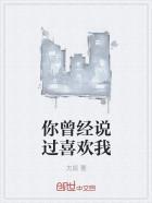 曾经说过喜欢我