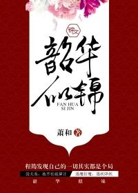 韶华似锦剧情介绍分集