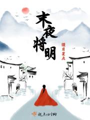 将夜未明